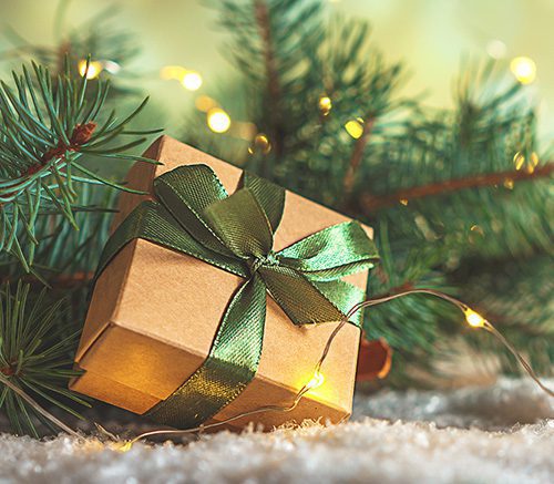 Holiday gift